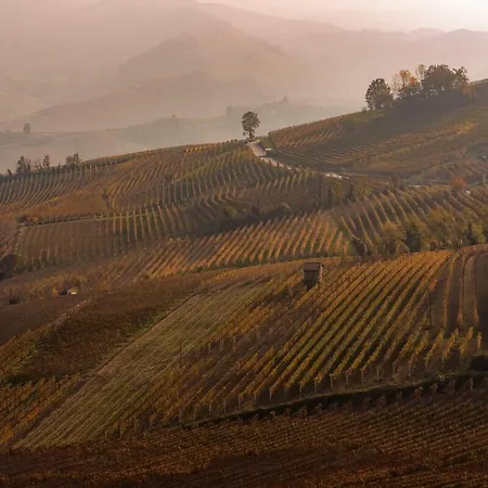 Sky & Vineyards - Melograno - 公寓