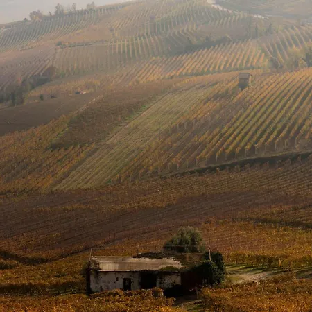 Sky&vineyards - Melograno - * La Morra